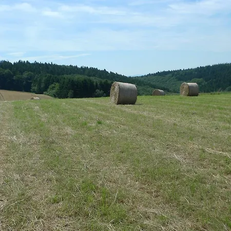 Alte Forsthaus * Geisenheim